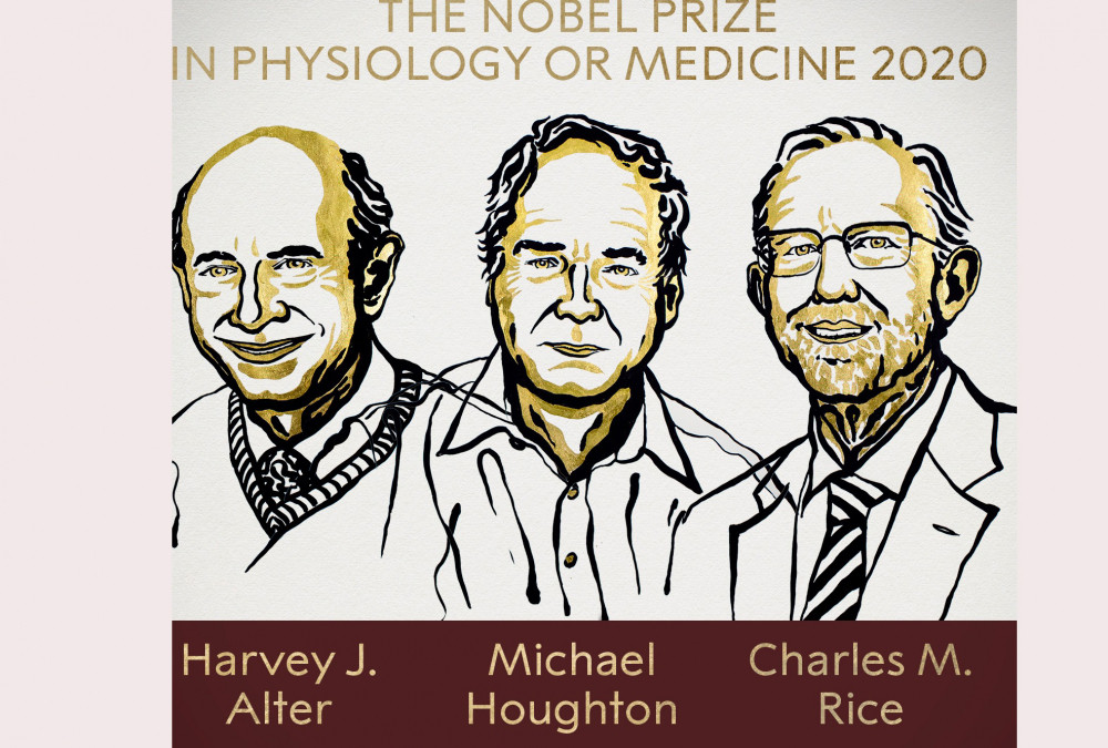 ‘हेपाटाइटिस सी’ भाइरस पत्ता लगाउने तीन वैज्ञानिकलाई २०२० काे चिकित्सातर्फको नोबेल पुरस्कार